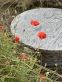 Купити Столик журнальний World wild table cone від MAIIMO