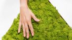 Купити Кресло лаунж PLANET від MAIIMO