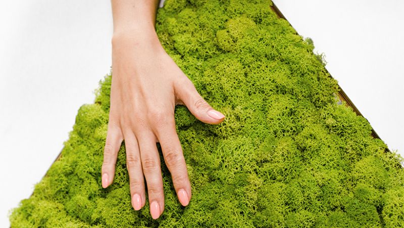 Купити Кресло лаунж PLANET від MAIIMO