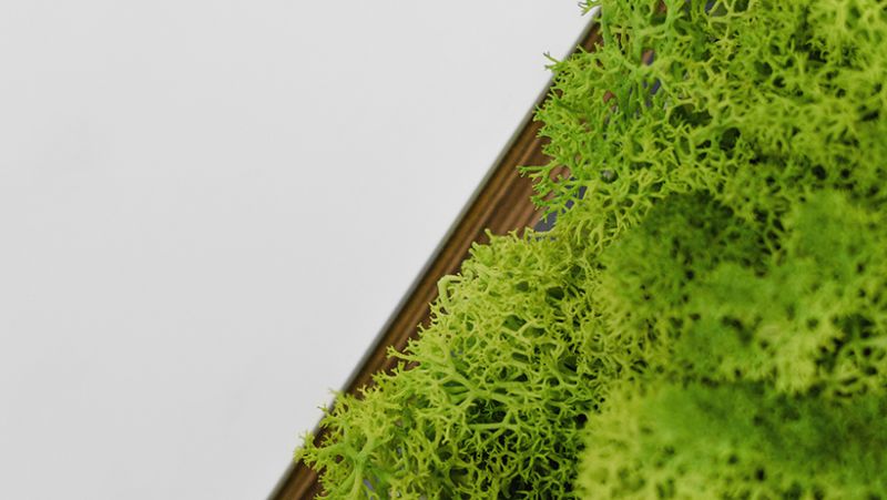 Купити Кресло лаунж PLANET від MAIIMO