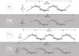 Купити Люстра DNA horizontal від MAIIMO