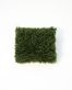 Купити Sheep wool pillow GRASS green від MAIIMO