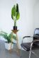 Купити Japandi S light side table від MAIIMO