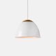 Купити Світильник підвісний URBAN LIGHT D420 від MAIIMO