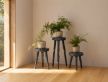Купити Greek Walnut Wood Stool від MAIIMO