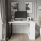 Купити Письменный стол LOFT-3 від MAIIMO